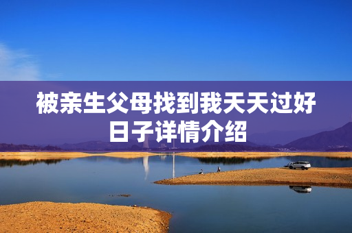 被亲生父母找到我天天过好日子详情介绍