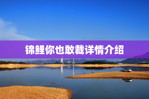 锦鲤你也敢裁详情介绍