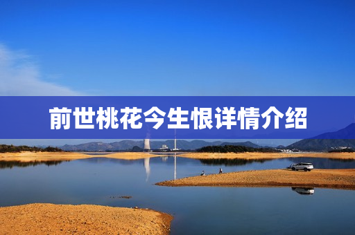 前世桃花今生恨详情介绍