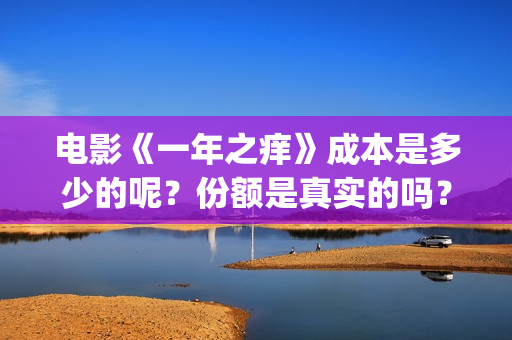 电影《一年之痒》成本是多少的呢？份额是真实的吗？在哪投资靠谱？(电影《一年之痒》在线看)