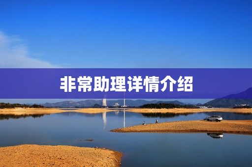 非常助理详情介绍