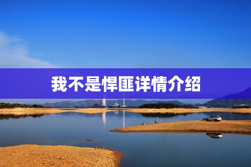 我不是悍匪详情介绍