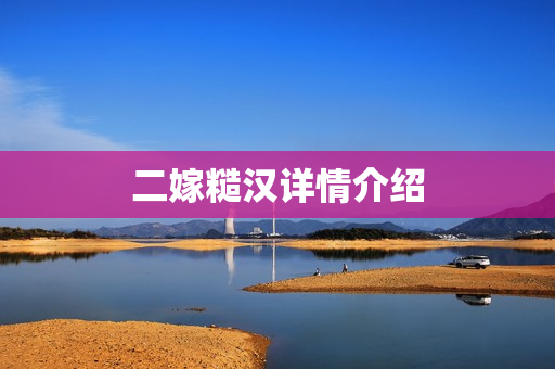 二嫁糙汉详情介绍
