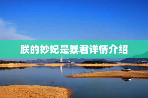 朕的妙妃是暴君详情介绍