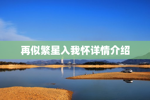 再似繁星入我怀详情介绍