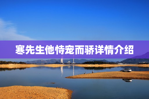 寒先生他恃宠而骄详情介绍