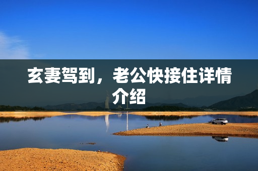 玄妻驾到，老公快接住详情介绍