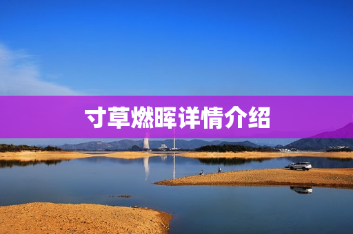 寸草燃晖详情介绍