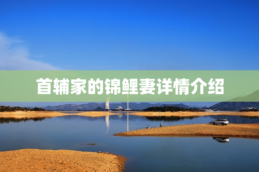 首辅家的锦鲤妻详情介绍