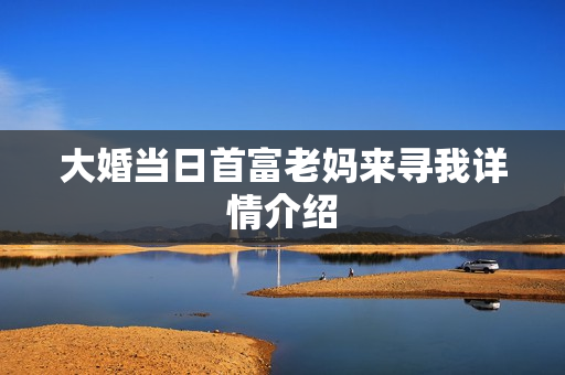 大婚当日首富老妈来寻我详情介绍