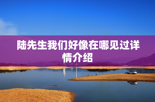 陆先生我们好像在哪见过详情介绍