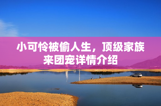 小可怜被偷人生，顶级家族来团宠详情介绍