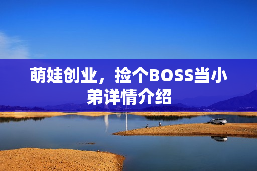 萌娃创业，捡个BOSS当小弟详情介绍
