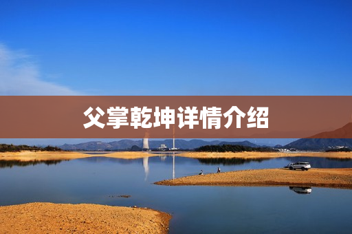 父掌乾坤详情介绍