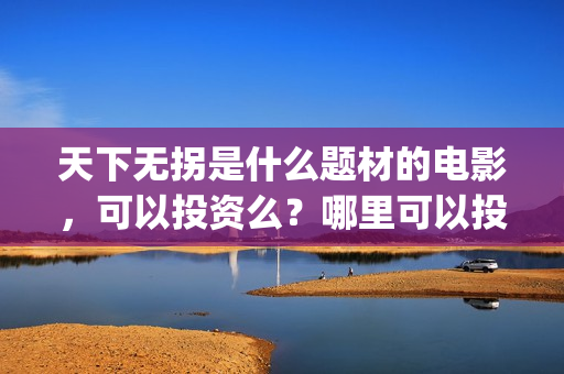 天下无拐是什么题材的电影，可以投资么？哪里可以投资？(天下无拐是什么意思)