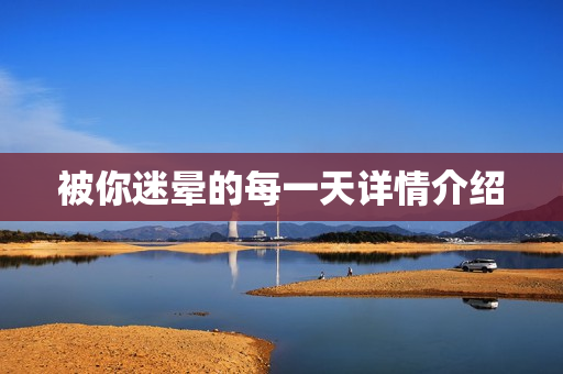 被你迷晕的每一天详情介绍