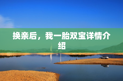 换亲后，我一胎双宝详情介绍