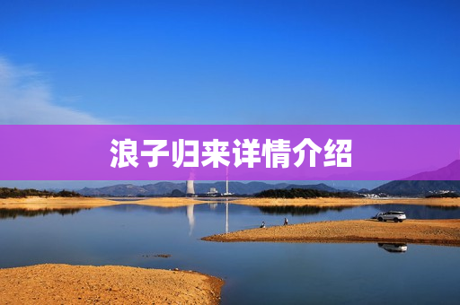 浪子归来详情介绍