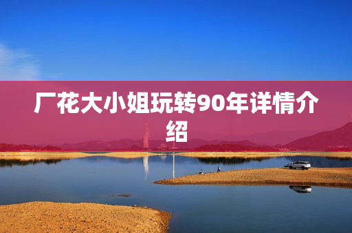 厂花大小姐玩转90年详情介绍