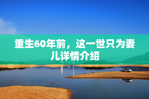 重生60年前，这一世只为妻儿详情介绍