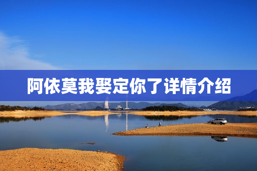 阿依莫我娶定你了详情介绍
