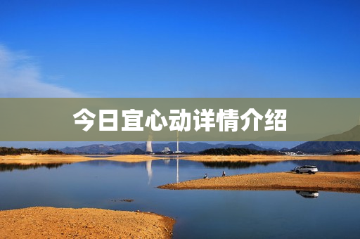 今日宜心动详情介绍