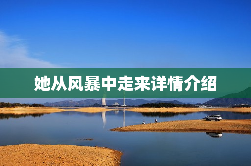 她从风暴中走来详情介绍