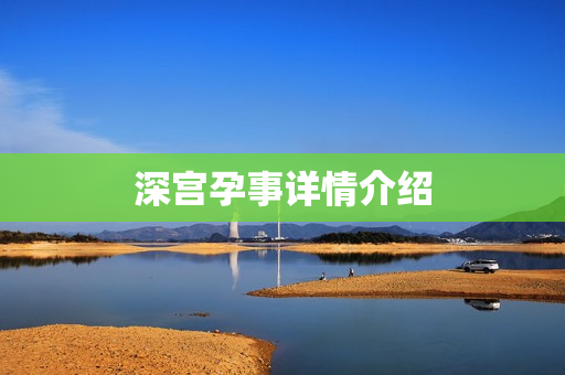 深宫孕事详情介绍