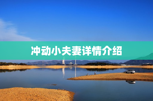 冲动小夫妻详情介绍