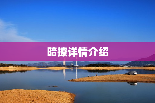 暗撩详情介绍