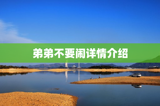 弟弟不要闹详情介绍