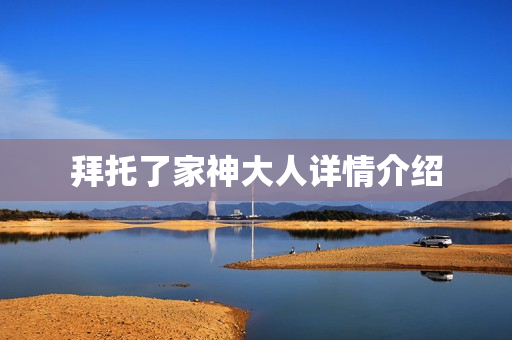 拜托了家神大人详情介绍