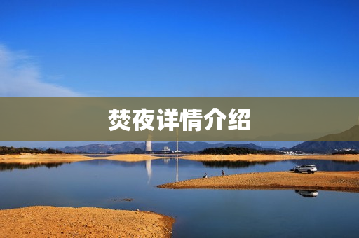 焚夜详情介绍