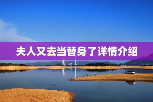 夫人又去当替身了详情介绍