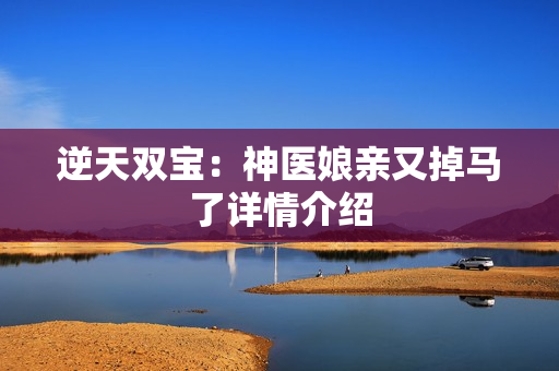 逆天双宝：神医娘亲又掉马了详情介绍