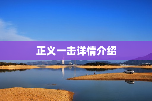 正义一击详情介绍