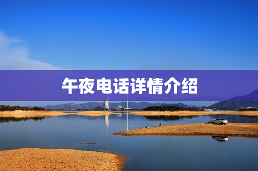 午夜电话详情介绍