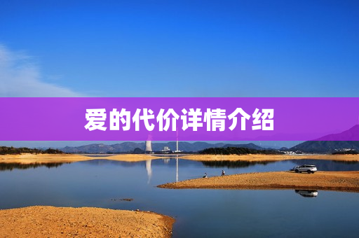 爱的代价详情介绍