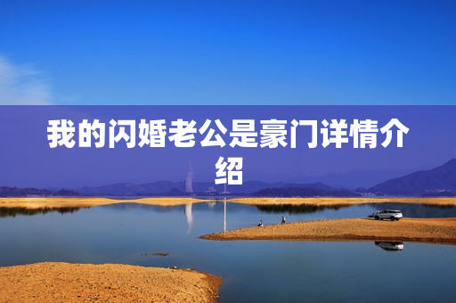 我的闪婚老公是豪门详情介绍