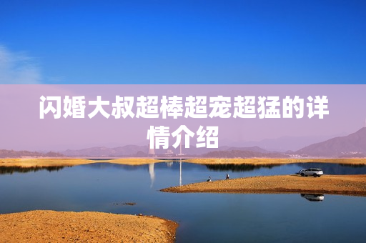 闪婚大叔超棒超宠超猛的详情介绍