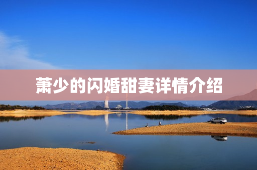 萧少的闪婚甜妻详情介绍