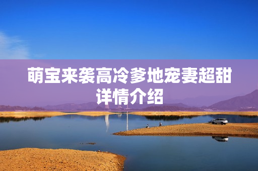 萌宝来袭高冷爹地宠妻超甜详情介绍
