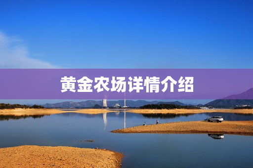 黄金农场详情介绍