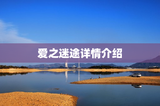 爱之迷途详情介绍