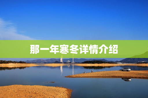 那一年寒冬详情介绍