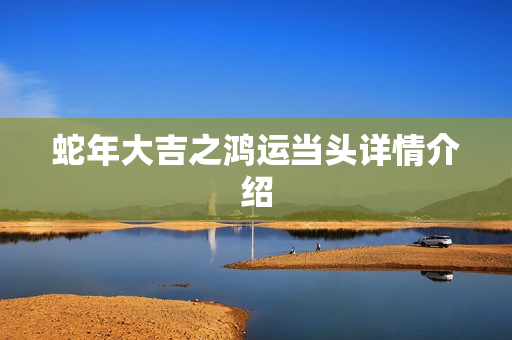 蛇年大吉之鸿运当头详情介绍
