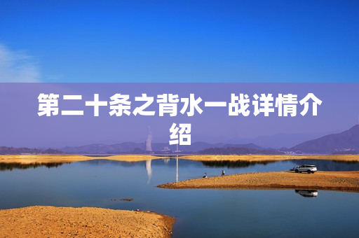 第二十条之背水一战详情介绍