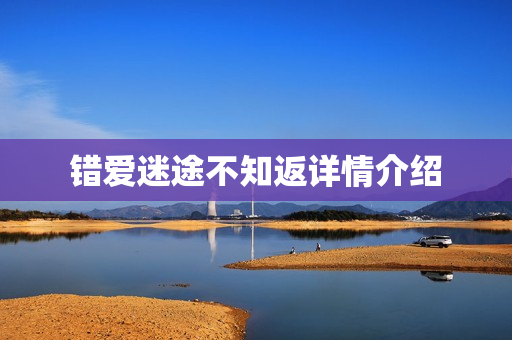 错爱迷途不知返详情介绍