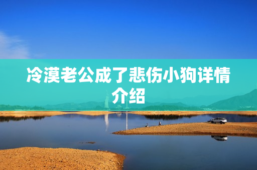 冷漠老公成了悲伤小狗详情介绍