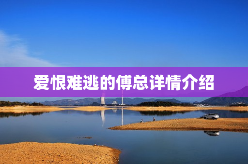 爱恨难逃的傅总详情介绍